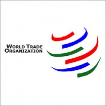 Вступление в ВТО привлечет в страну больше инвесторов