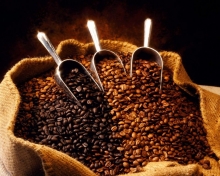 Мировые цены на кофе достигли 13-летнего максимума