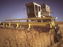 ООН улучшила прогноз мирового производства зерновых до 2,6 миллиарда тонн