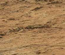 На Марсе нашли скелет животного