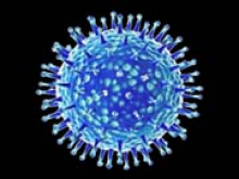 В США испытывают на людях панкоронавирусную вакцину: чем она отличается от уже существующих