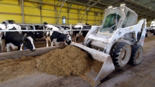 Сельхозпредприятия намерены штрафовать в Казахстане за найм работников без договора