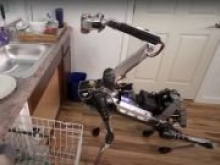 «Домашнюю» версию робопса Spot показали в действии (видео)