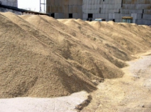 Экспорт казахстанского зерна за рубеж увеличится на 2,5 млн тонн - Мамытбеков