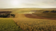 Инвентаризация охватит 30,5 млн га земель сельхозназначения в 2012 году