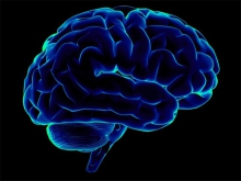 Ученые выявили изменения структуры головного мозга у пользователей гаджетов