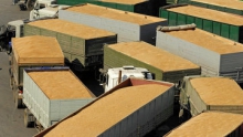 Более 540 т казахстанской пшеницы задержано в РФ из-за не соответствия санитарным нормам