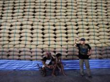 Таиланд уступил 30-летнее лидерство на мировом рынке риса