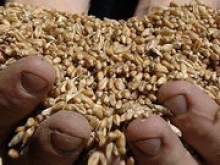 Мировые цены на пшеницу взлетели