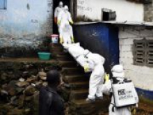 Deutsche Bank: Эбола ударит по золоту и какао Африки
