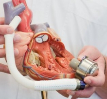 Ученые создали искусственное сердце для испытания препаратов