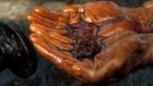 РД КМГ открыла залежь нефти на блоке Лиман