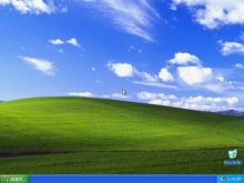 Доля Windows XP на рынке опустилась ниже 50 процентов