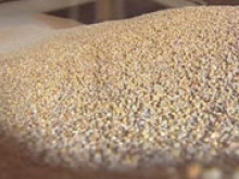 Казахстан снял все преграды для экспорта зерна, чтобы разгрузить переполненный рынок