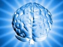 Технология 3D-печати нейросетей мозга получила €3,3 млн на развитие