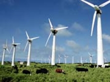 Бразилия может стать мировым центром ветровой энергетики