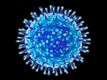 Вакцины CoronaVac и Pfizer не дают антител, способных защищать от штамма «Омикрон», — ученые