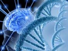 Ученые выявили ген гениальности