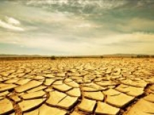 Всемирный банк прогнозирует спад экономик Ближнего Востока к 2050 году из-за нехватки пресной воды
