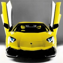 Lamborghini отмечает юбилей «желтым маем» (фото)