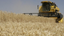 Казахстан потратит 30 млрд тенге на субсидирование растениеводства в 2011г