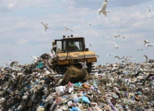Если переработать весь пластиковый мусор мира, можно заработать $7 триллионов