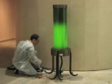 Француз разработал фонарь, который работает на водорослях и очищает воздух