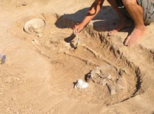 В Англии ученые нашли следы человека, которым не менее 800 тыс лет