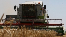 Цены на зерно в Казахстане выросли на 14,8% с начала года