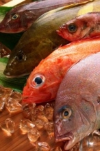Россия запретит поставки рыбы с 200 предприятий Японии