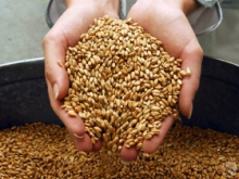 ЕАБР увеличивает финансирование экспорта казахстанского зерна до 75 млн долларов