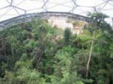 Amazon строит для сотрудников био-купол