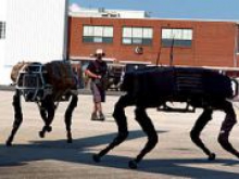 Google выставила на продажу Boston Dynamics