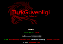 Турецкие хакеры обрушили сайты The Daily Telegraph и National Geographic